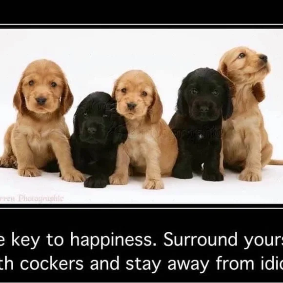 Please like and Share this live notification to know when I am live - Picture 10 of 17